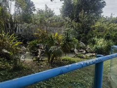 -广州长隆飞鸟乐园