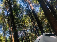 -山王坪喀斯特国家生态公园