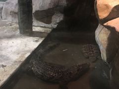 -台州海洋世界