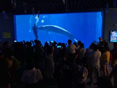 -多彩贵州城极地海洋世界