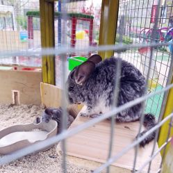 -萌宠亲子动物乐园(槐房万达店)