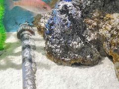 -苏州海洋馆
