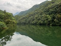 -雁南飞茶田景区