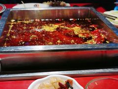 -二荆条·蜀鲜汇城市森林火锅