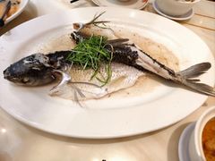 -稻香酒家·35年老字号(侨光店)