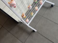 -醉得意·山茶油炒土鸡(奇美店)