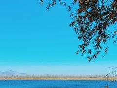 -野鸭湖国家湿地公园