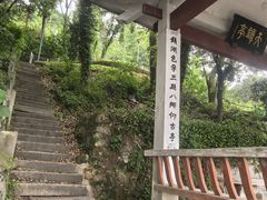 -晓琦农家菜馆·地道农家菜
