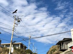 -灌篮高手动画打卡地