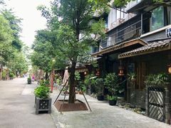 -泡桐树街