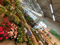 -双季花艺园艺市场(浦东店)