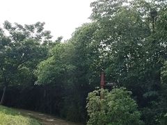 -良渚古城遗址公园