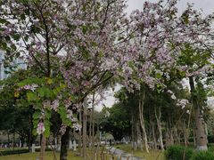 -深圳国际园林花卉博览园