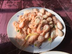-青浦采草莓天天草莓园