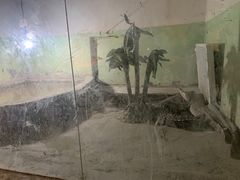 -新疆天山野生动物园