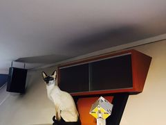 -立体方块屋