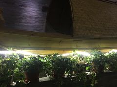 -陈先进鱼馆·夜宵·地道农家菜(湖墅南路店)