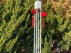 -春花秋色城市公园