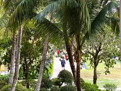 -海南清水湾莱佛士酒店