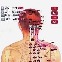-香薇妮丝女子减肥院