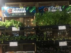 -碧丽宫大酒店(召稼楼店)