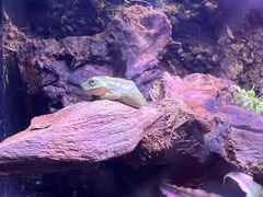 -博纳UA影城(KK Mall IMAX店)