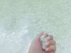 -盐湖景区