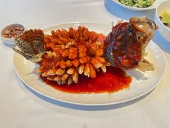 松鼠桂鱼-洋洋中餐馆·SINCE 1997(信投店)