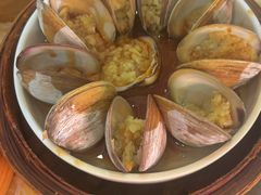 -宝塘茶楼