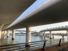 -演武大桥观景平台