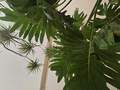 -金谷仓家庭料理(马泉营店)