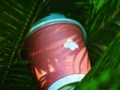 -LilBee Coffee