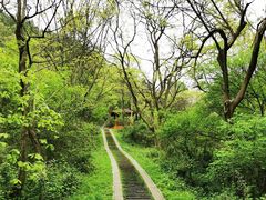 -青龙山国家森林公园