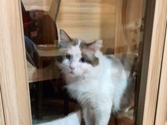 -白兔子密室(长寿路店)