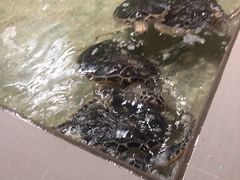 -常州海昌海洋探索馆