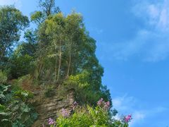 -广州莲花山旅游区
