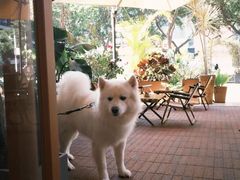 -沙丘咖啡DUNE COFFEE(深业水松大厦店)