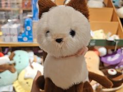 -九木杂物社(恒隆广场店)