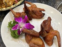 -鸽鸟轩(石岐店)