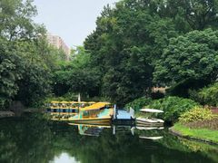 -晓港公园