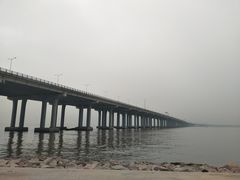 -宝安西湾红树林湿地公园