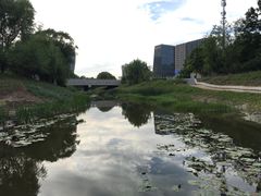 -金星公园