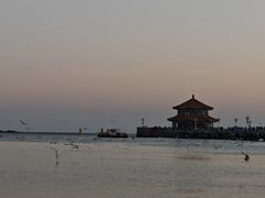 -青岛第三海水浴场