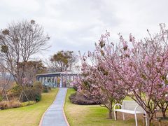 -鲤鱼洲酒店港鲤咖啡厅