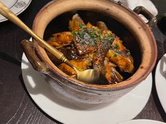 -甄御•海鲜新青岛菜(麦岛店)