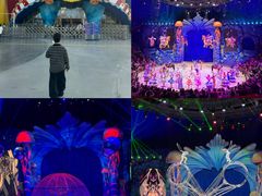 -海合安武汉极地海洋公园