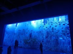 -波塞冬海底世界