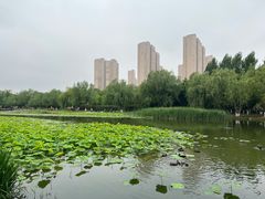 -前关湿地公园