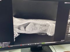 -宠颐生动物医院·心脏科·保险定点(锦阳分院)