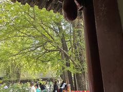 -潭柘寺景区